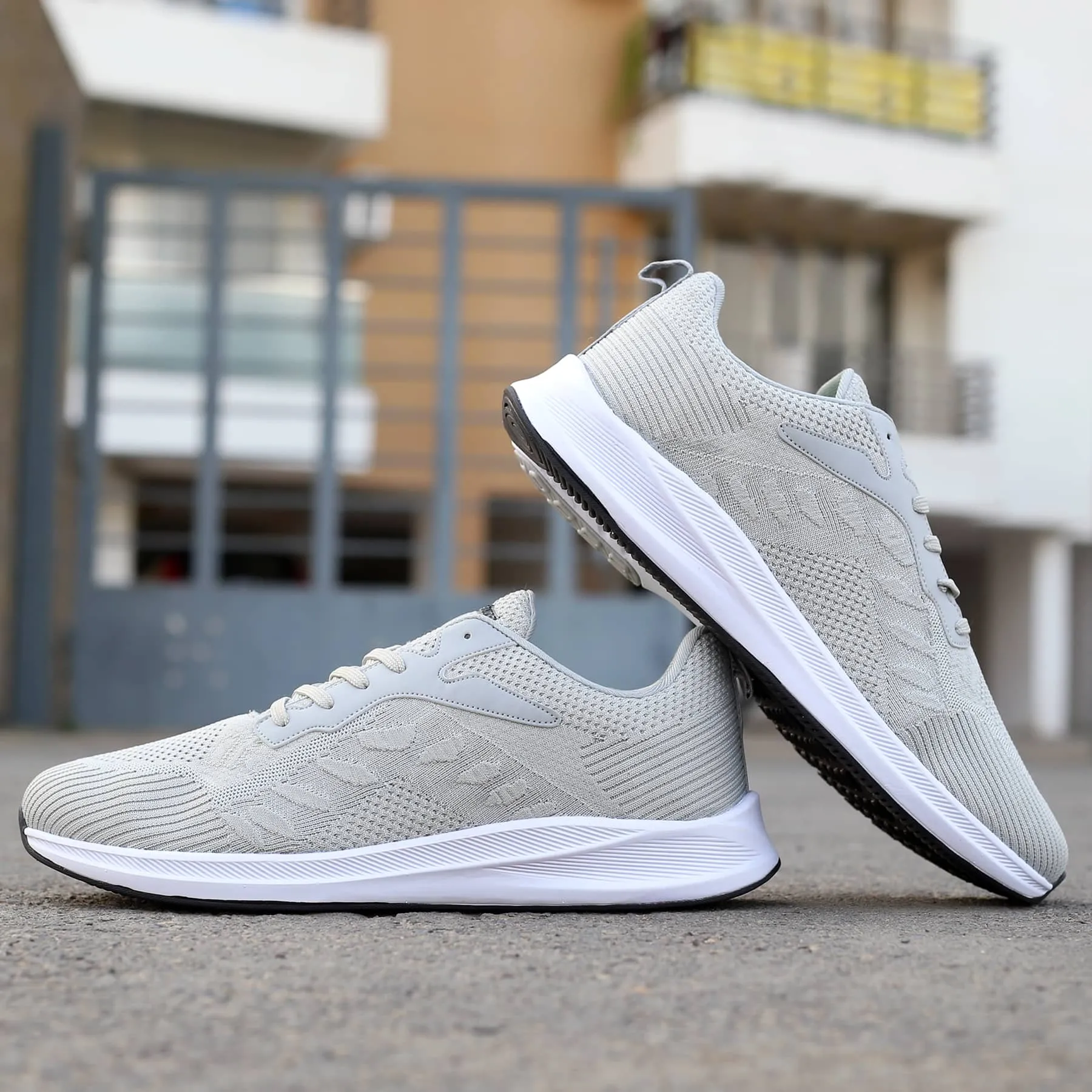 Modern Bacca Bucci Project Plus