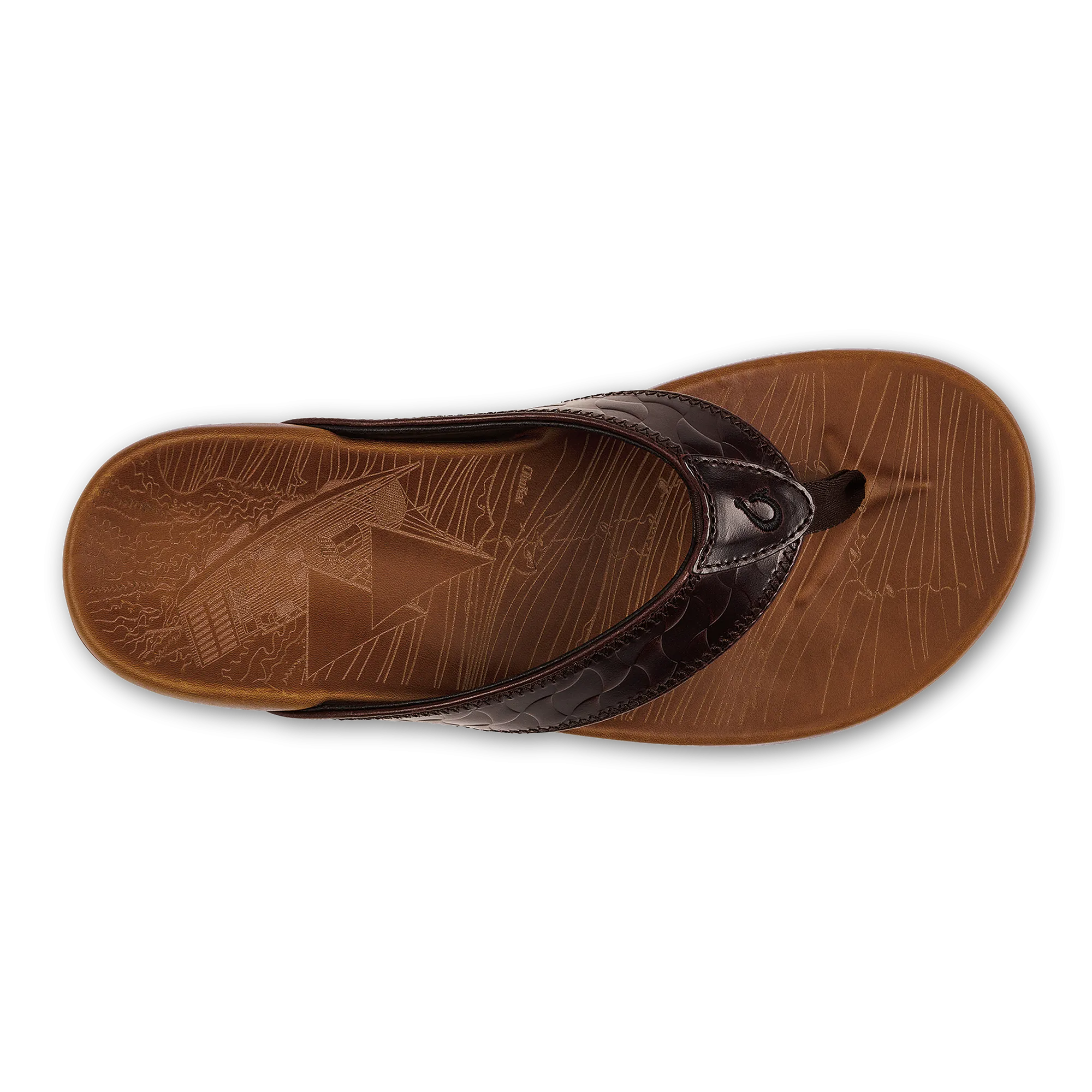 Hikianalia  -  Dark Java / Tan Active Line Chic Days