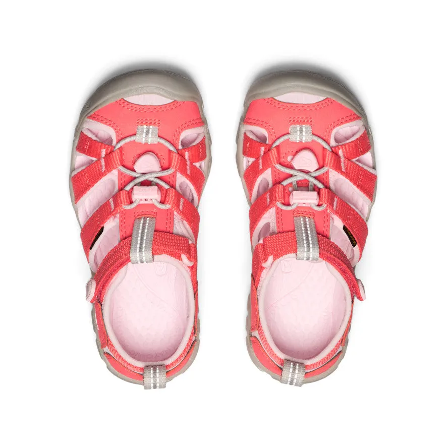 Sporty Flats Little Kids' Seacamp II CNX  |  Dubarry/Giggle Pink