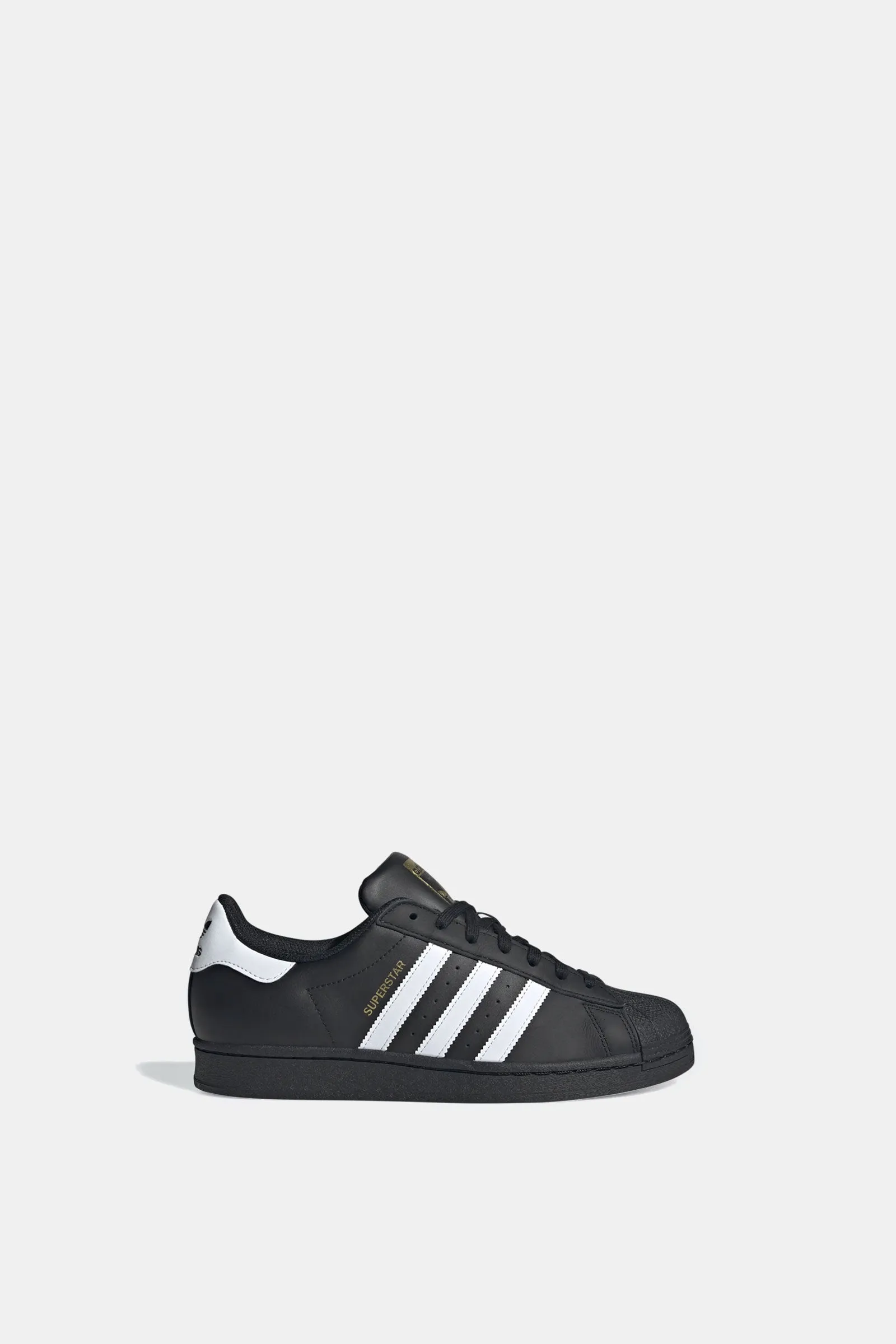 Superstar Wet Land