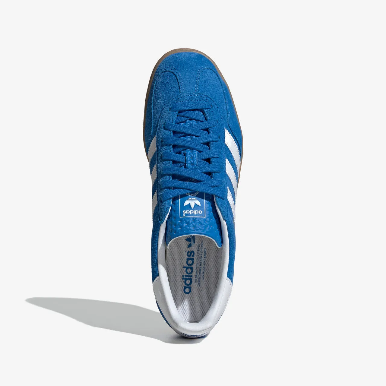 Supportive Gazelle Indoor