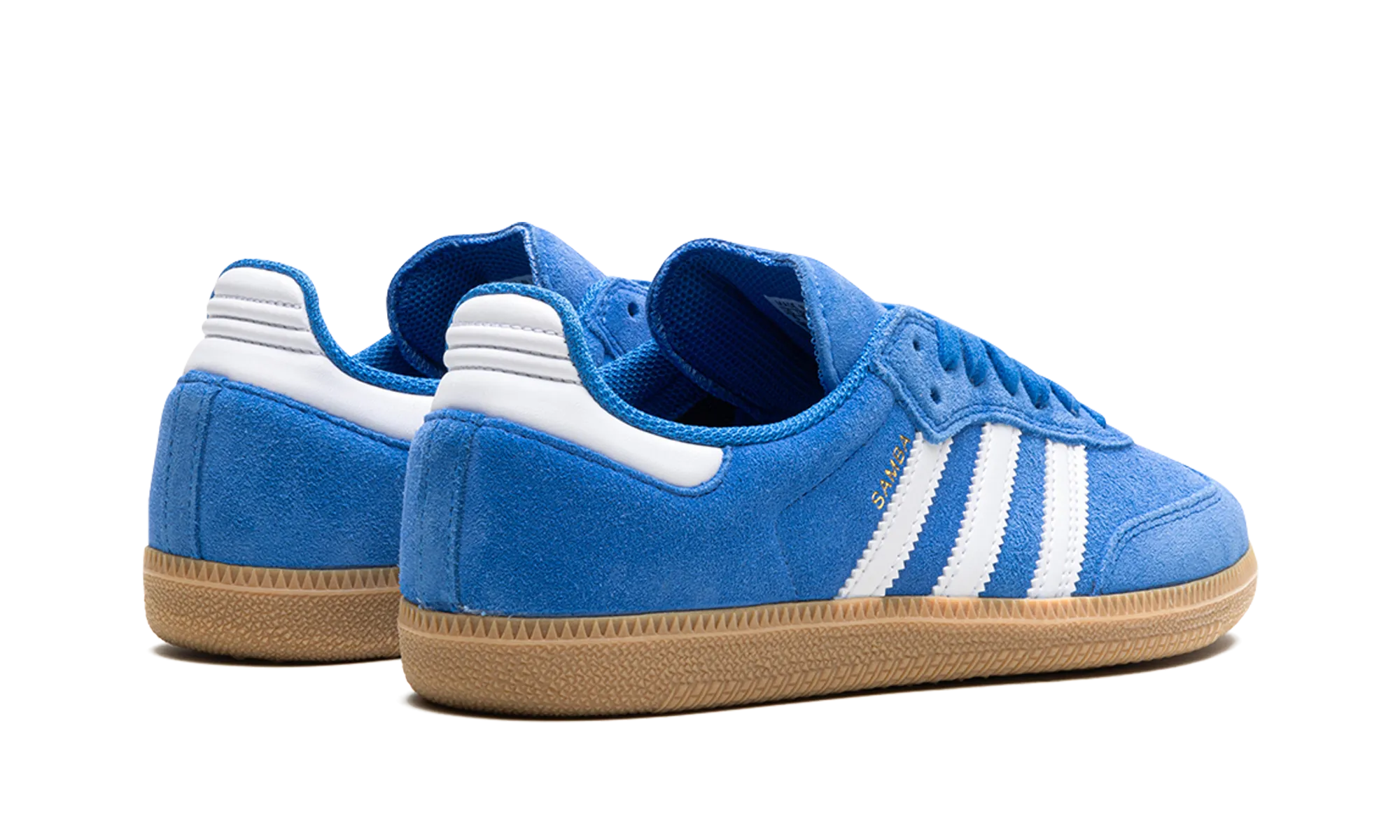 Shock Guard Samba Adv "Blue Bird"