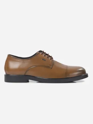 Men's Brown Formal Laceup Shoes (IX1092) Jewelry Launch Soft Step