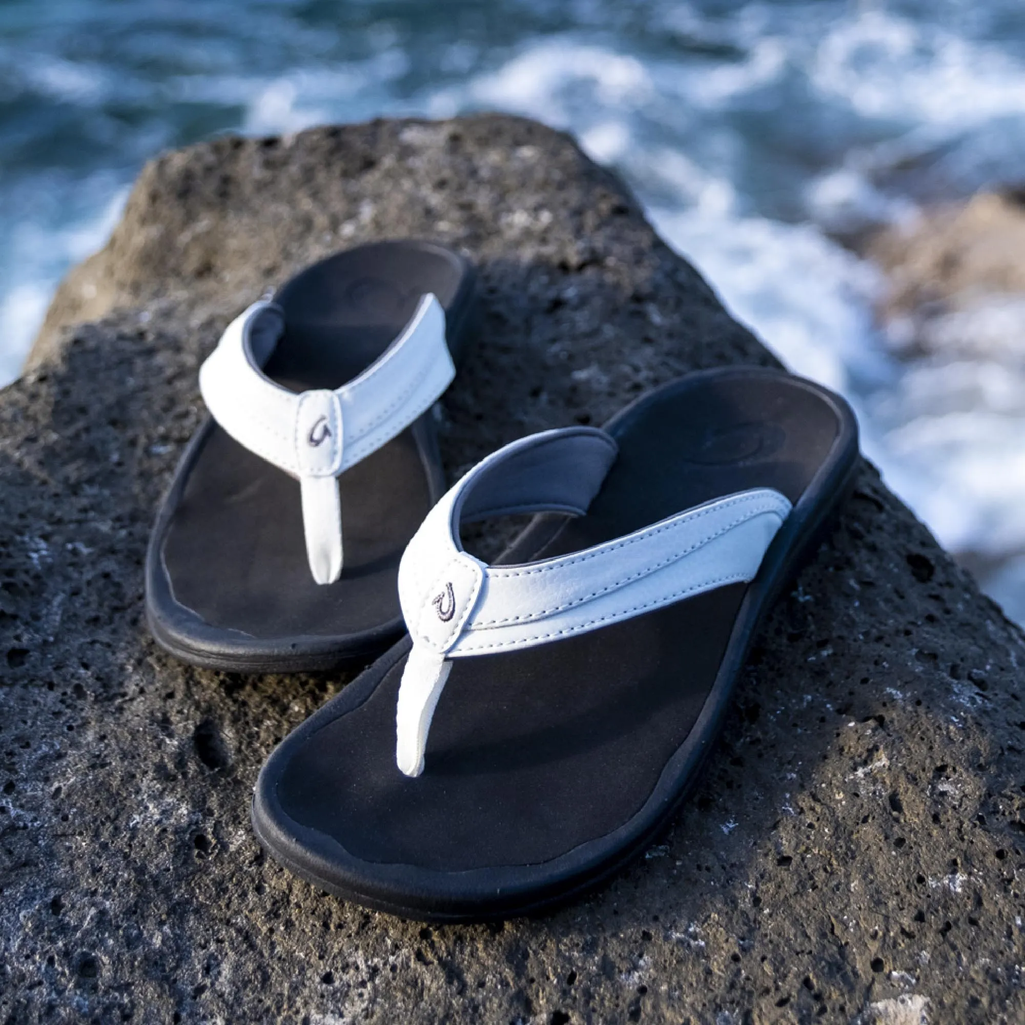 Ohana - White / Black Narrow Fit Elastic Strap
