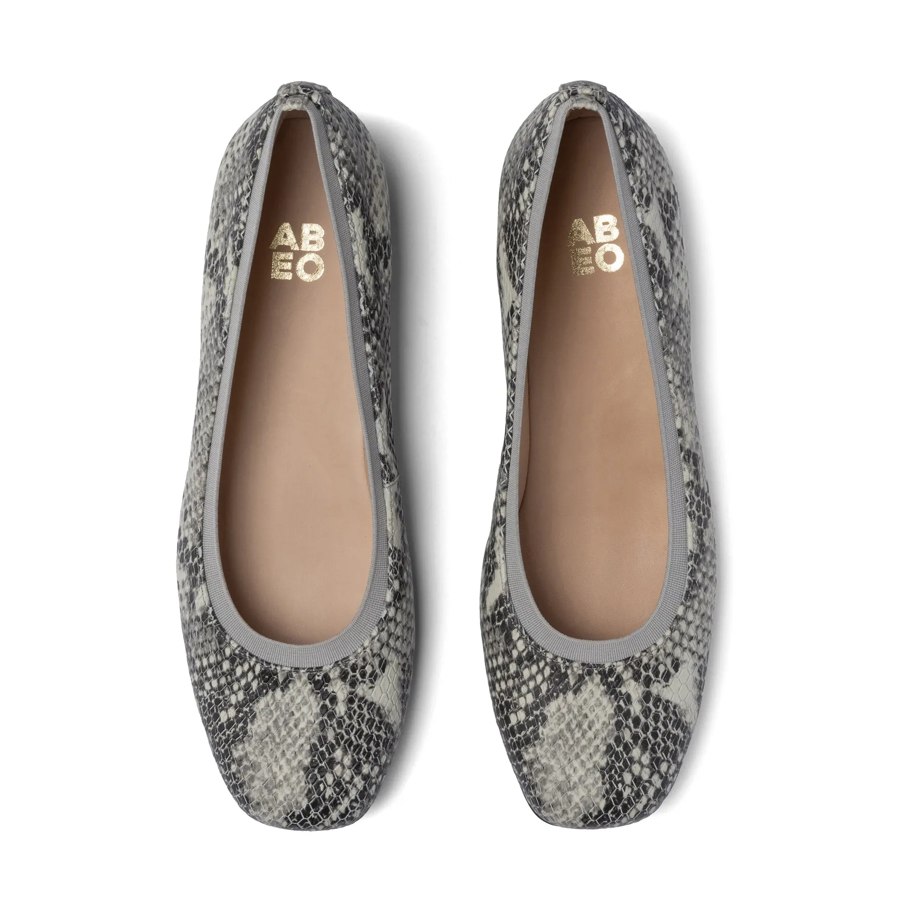 Cadence Ballet Metatarsal Team Shade