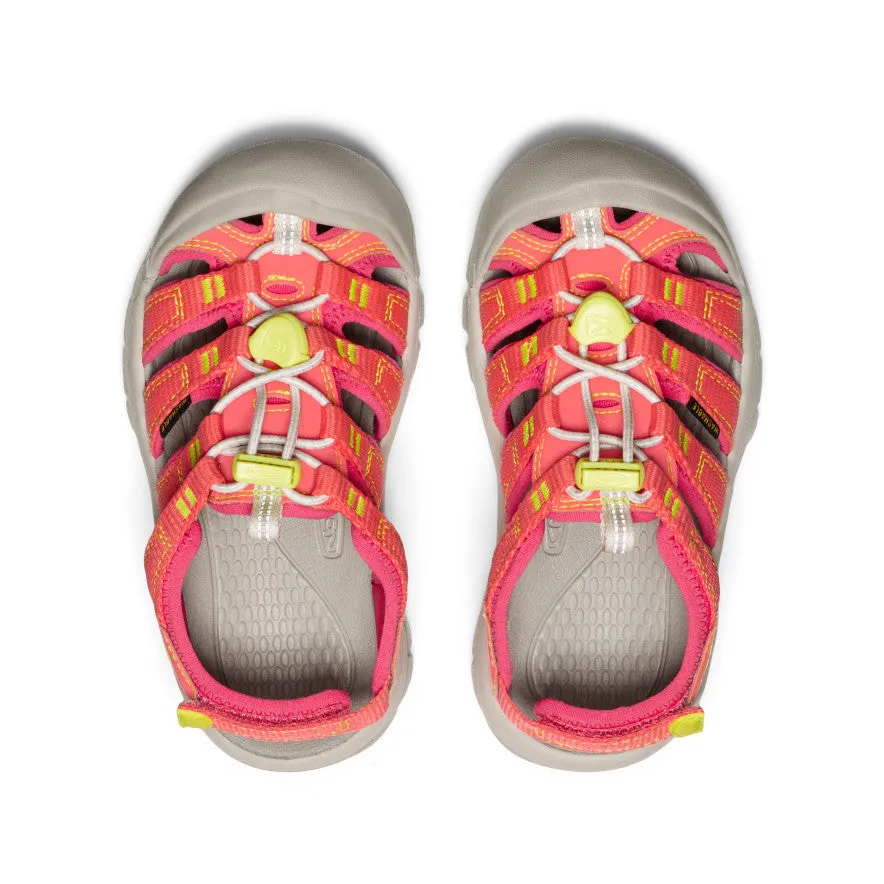 Little Kids' Newport Boundless Sandal  |  Dubarry/Evening Primrose Retro Vibe velcro